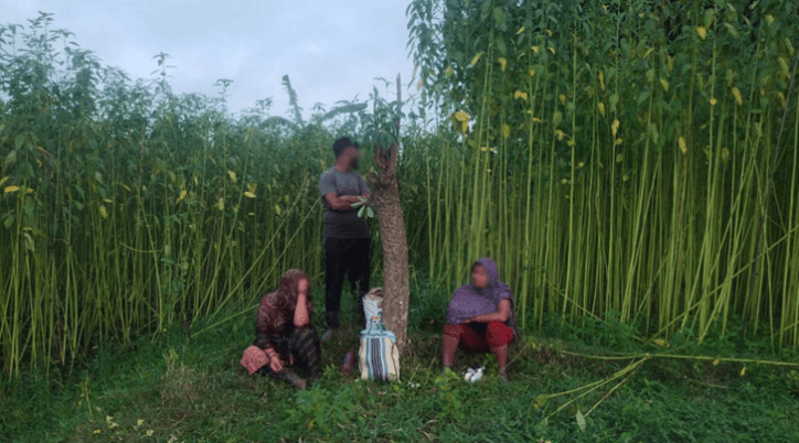 জীবননগর সীমান্তে তিনজনকে ‘পুশ ইন’ চেষ্টা বিএসএফের