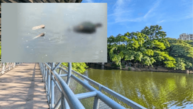 ধানমন্ডি লেক থেকে মরদেহ উদ্ধার, তদন্তে পুলিশ